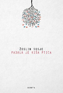 Padala je kiša ptica