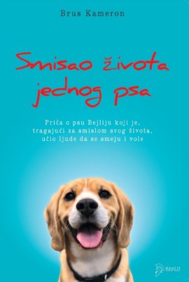 Smisao života jednog psa