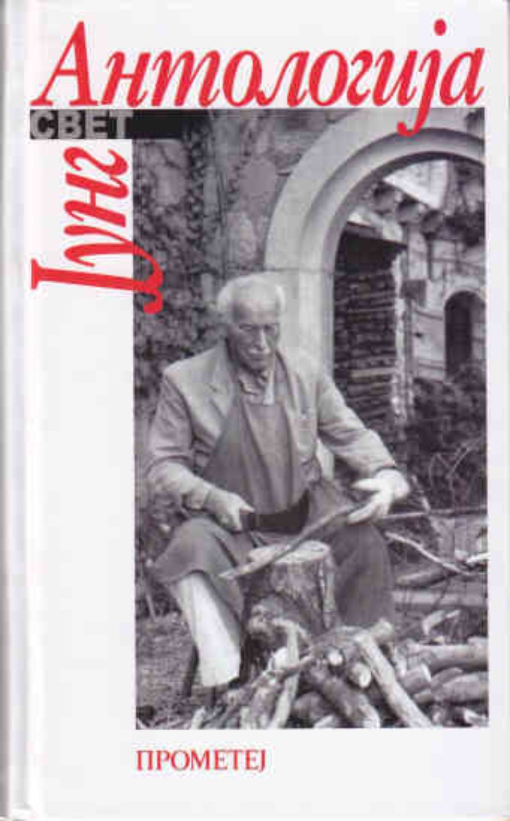 Antologija Jung - Čovek i duša