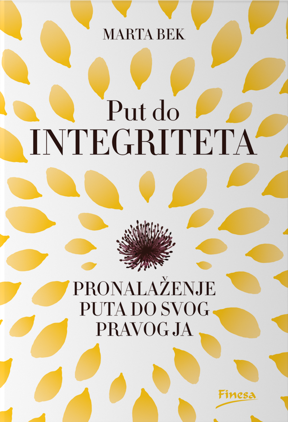 Put do integriteta