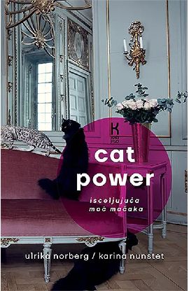 Cat power – Isceljujuća moć mačaka