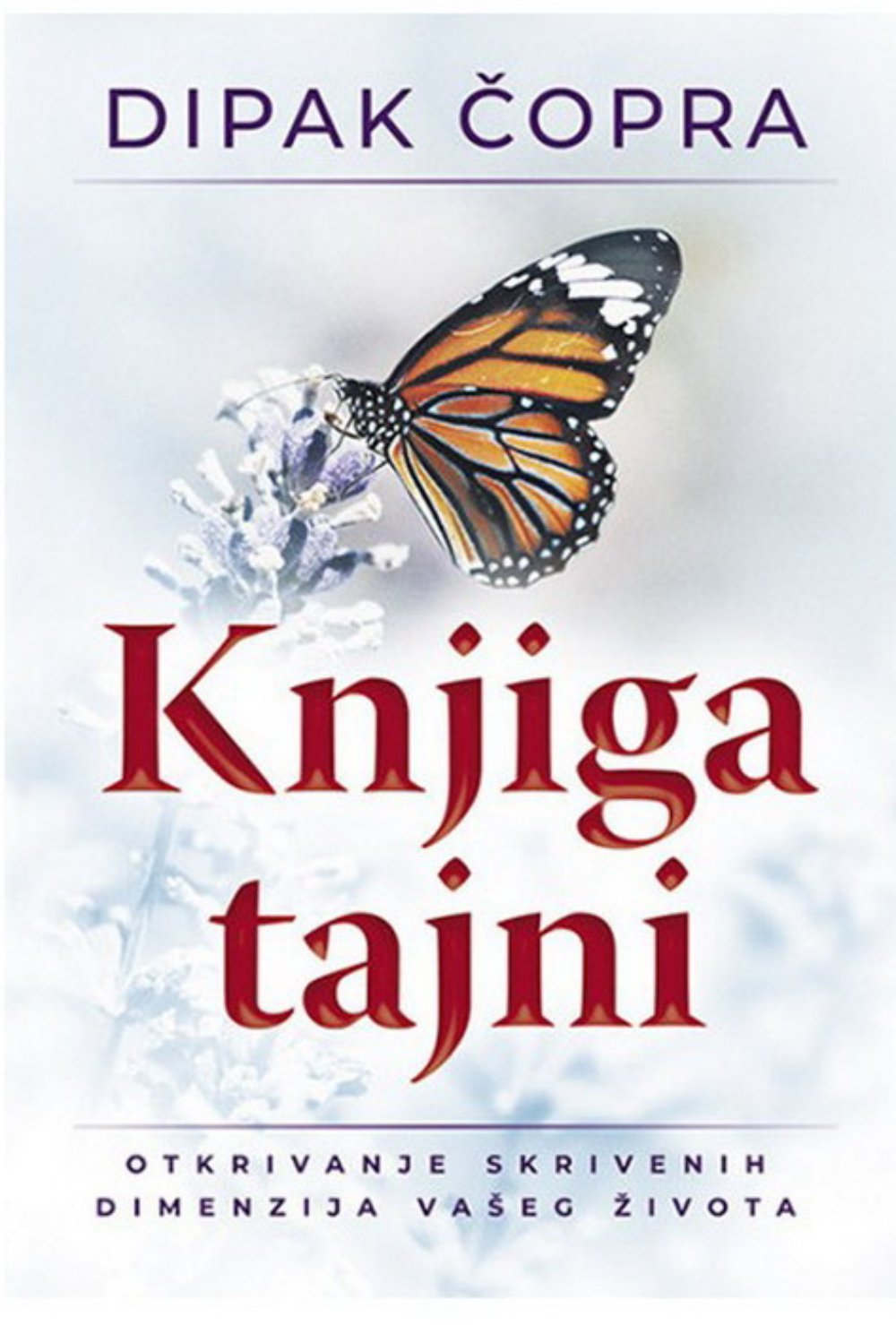 Knjiga tajni - Otkrivanje skrivenih dimenzija vašeg života