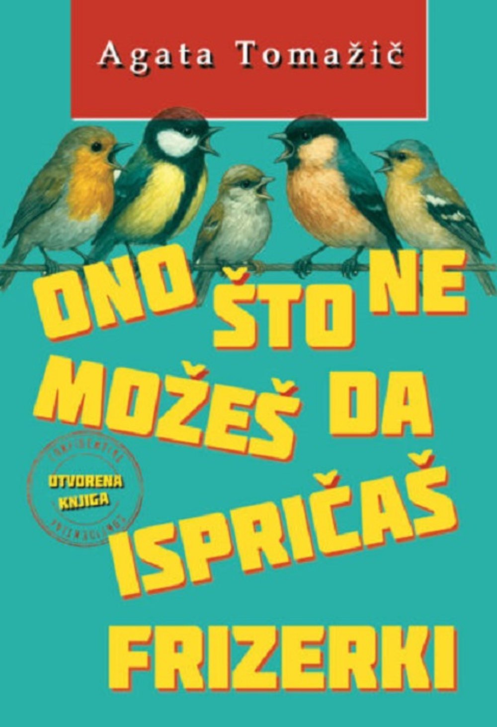 Оno što ne možeš da ispričaš frizerki