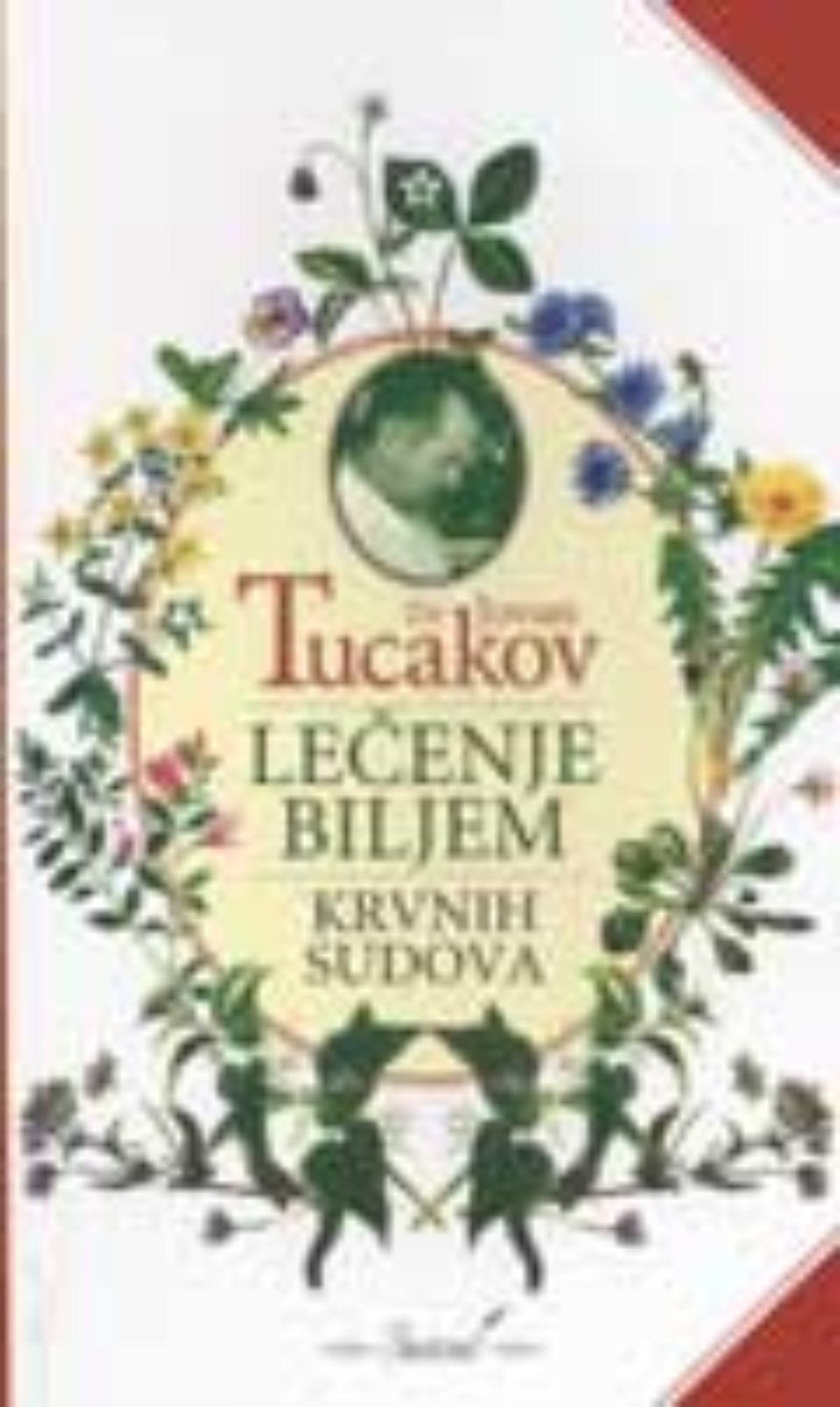 Lečenje biljem - organa za disanje
